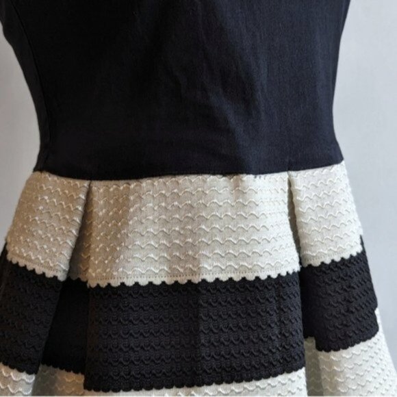 L'atiste by Amy textured pleated black & white striped colourblock a-line Dress - Picture 2 of 5
